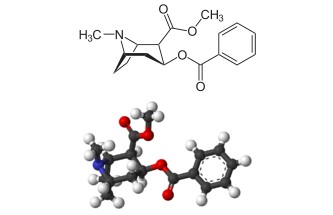 edu_cocain_02