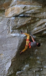 West Virginia