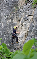Vlastina