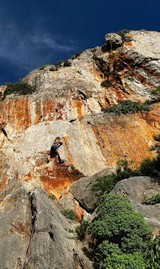 Salinella Camping
