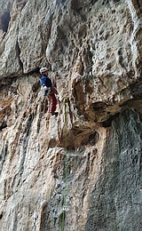 Pineta Grotta